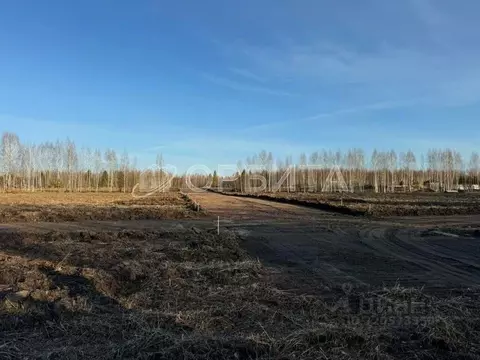 Участок в Тюменская область, Тюменский район, д. Чаплык Центральная ...