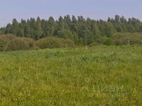 Участок в Московская область, Рузский муниципальный округ, д. Орешки  ...