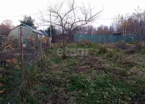 Участок в Ленинградская область, Ломоносовский район, Виллозское ...