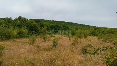 Участок в Крым, Кировский район, Старый Крым городское поселение ул. ...