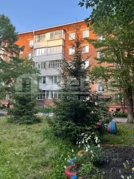 3-к кв. Омская область, Омск пос. 40 лет Октября, пер. Камерный, 52 ...