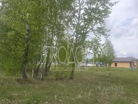 Участок в Алтайский край, Первомайский район, с. Фирсово ул. Исаака ...