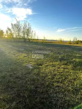 Участок в Саха (Якутия), Якутск городской округ, с. Тулагино ул. ...