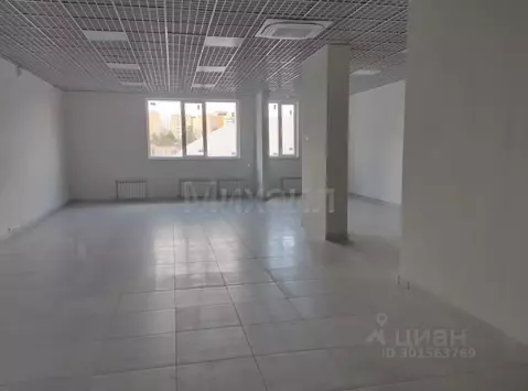 Торговая площадь в Пензенская область, Пенза ул. Лозицкой, 1А (122 м)