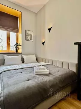 Студия Санкт-Петербург ул. Черняховского, 56 (30.0 м)