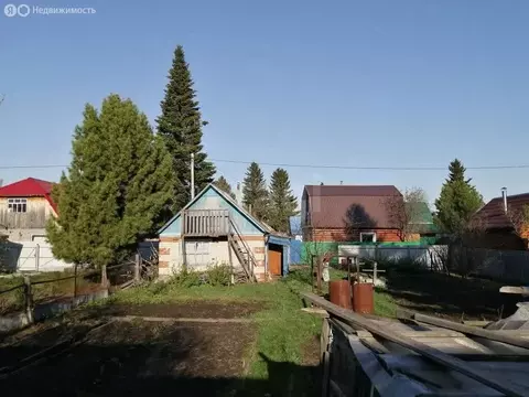 Участок в Тюмень, СНТ Строитель, Цветочная улица (4.5 м)