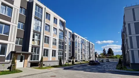 2-к кв. Калининградская область, Калининград ул. Сержанта Мишина, 81к1 ...