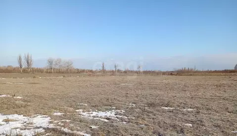 Участок в Крым, Кировский район, Первомайское с/пос, с. Первомайское ...