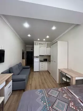 Студия Краснодарский край, Сочи Новый Сочи мкр, ул. Санаторная, 48Б ...