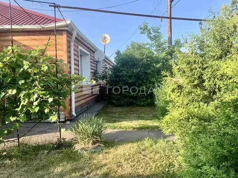 Дом в Алтайский край, с. Шипуново ул. Дорожников, 7 (67 м)