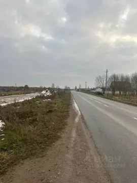 Участок в Псковская область, Псковский район, Завеличенская волость, ...