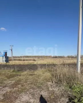 Участок в Курганская область, Шадринский муниципальный округ, с. Ключи ...