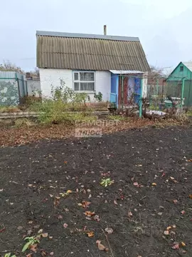 Дом в Курская область, Касторенский район, Поселок Новокасторное ...