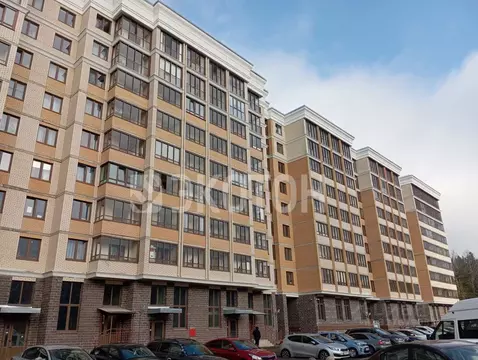 Студия Санкт-Петербург, Санкт-Петербург, Ломоносов Михайловская ул., ...