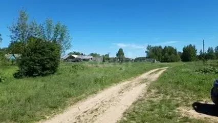 Участок в Ярославская область, Некрасовский муниципальный округ, д. ...
