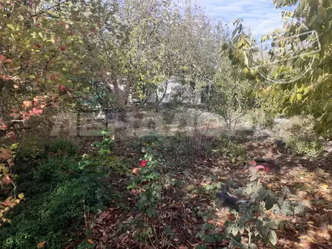 Участок в Ростовская область, Ростов-на-Дону Утро садоводческое ...