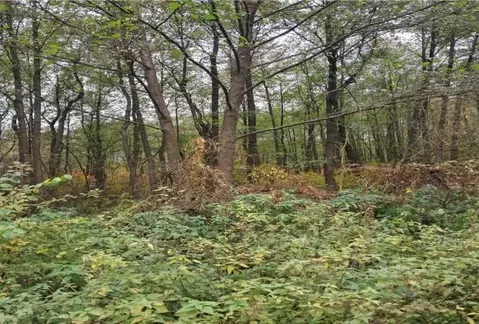 Участок в Московская область, Лосино-Петровский городской округ, д. ...