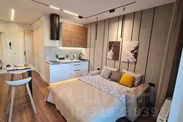 1-к кв. Санкт-Петербург просп. Энергетиков, 2к1 (27.0 м)