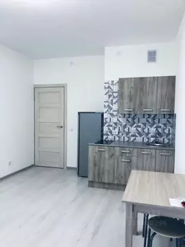 Студия Санкт-Петербург просп. Авиаконструкторов, 69 (25.0 м)