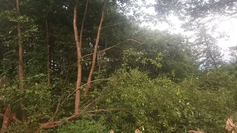 Участок в Северная Осетия, Владикавказ Учитель СТ, 303/1 (5.6 сот.)