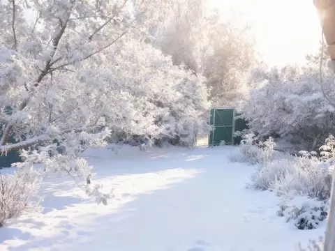 Дом в Ленинградская область, Киришский район, Пчевжинское с/пос, д. ...