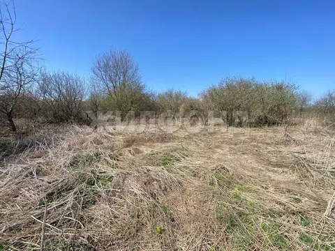 Участок в Брянская область, Брянский район, Снежское с/пос, пос. ...