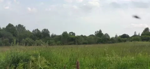 Участок в Московская область, Талдомский городской округ, д. ...