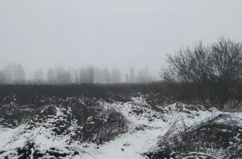 Участок в Московская область, Дмитровский муниципальный округ, д. ...