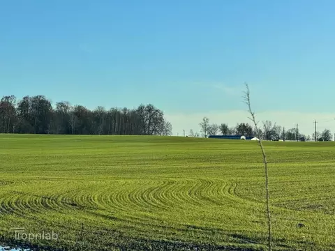 Участок в Калининградская область, Гурьевский муниципальный округ, ...