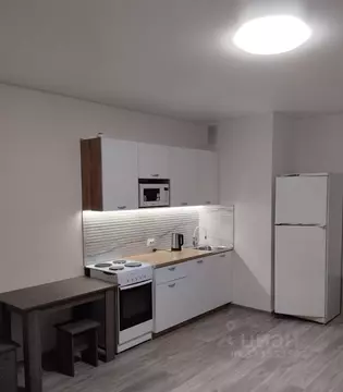 Студия Новосибирская область, Новосибирск ул. Бородина, 54 (33.0 м)