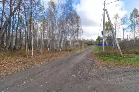 Участок в Тюменская область, Нижнетавдинский муниципальный округ, ...