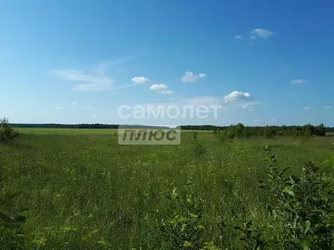 Участок в Амурская область, Благовещенский район, с. ...