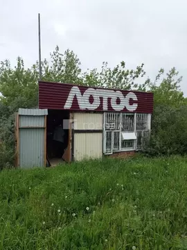 Помещение свободного назначения в Новосибирская область, Бердск Лесное ...