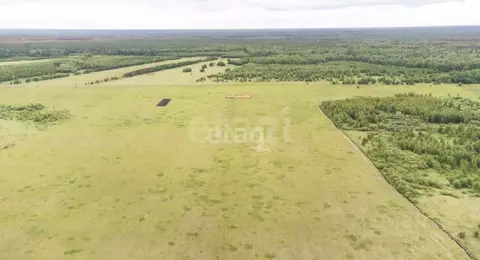 Участок в Тюменская область, Тюменский район, д. Речкина  (10.0 сот.)