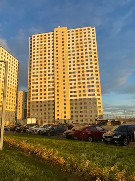 Студия Санкт-Петербург ул. Пахомовская, 10к3 (21.0 м)