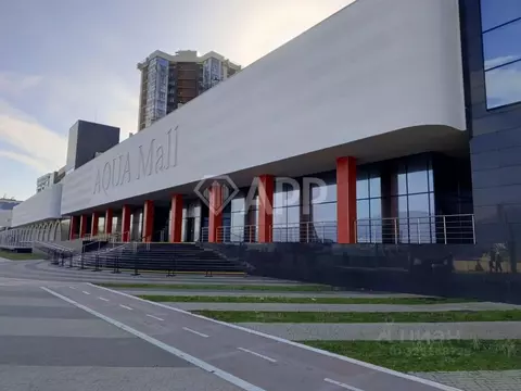 Помещение свободного назначения в Краснодарский край, Новороссийск ...