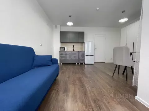 Студия Санкт-Петербург ул. Пахомовская, 22 (25.0 м)