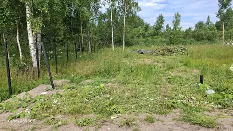 Участок в Ленинградская область, Всеволожск проезд Творческий, 5 (8.0 ...