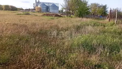 Участок в Саратовская область, Энгельсский район, Новопушкинское ...