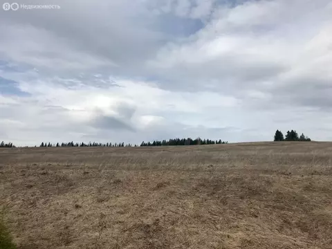 Участок в Пермский край, Ильинский муниципальный округ, деревня Орлы ...
