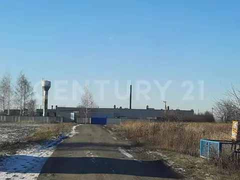 Помещение свободного назначения в Липецкая область, Добровский ...