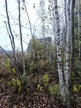 Участок в Ленинградская область, Волховский район, Кисельнинское ...