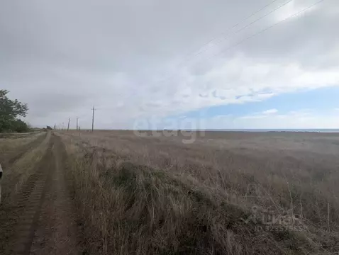 Участок в Крым, Черноморский район, Окуневское с/пос, с. Марьино  (5.0 ...