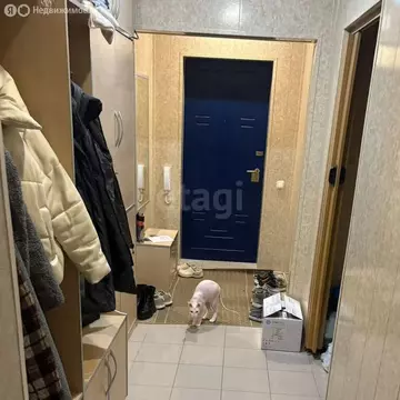 5-комнатная квартира: Пермь, улица Толмачёва, 17 (113.4 м)