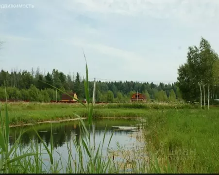 Участок в Московская область, Можайский муниципальный округ, Лесная ...