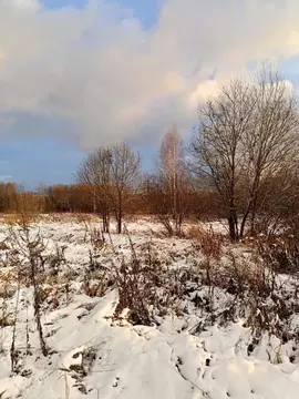 Участок в Московская область, Павлово-Посадский городской округ, д. ...
