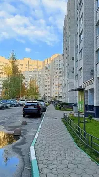 3-к кв. Воронежская область, Воронеж ул. Владимира Невского, 31Б (86.0 ...