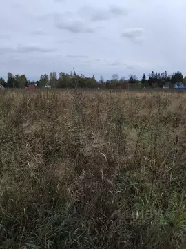 Участок в Ленинградская область, Гатчинский муниципальный округ, пос. ...