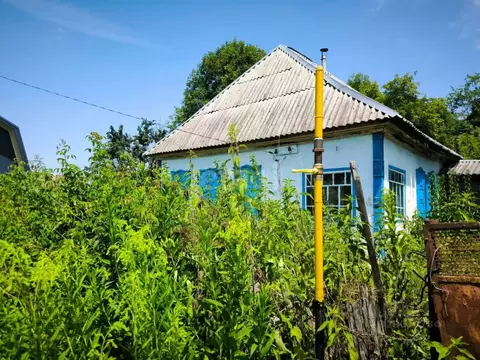 Участок в Адыгея, Майкопский район, Даховская ст-ца Ключевая ул. (25.0 ...