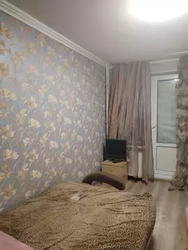 Студия Ленинградская область, Никольское Тосненский район, Октябрьская ...